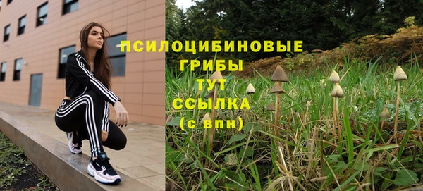 ПСИЛОЦИБИНОВЫЕ ГРИБЫ Баксан