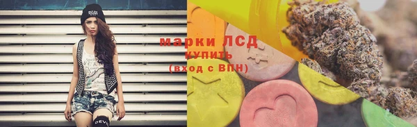 ПСИЛОЦИБИНОВЫЕ ГРИБЫ Баксан