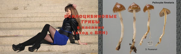 амф Балабаново