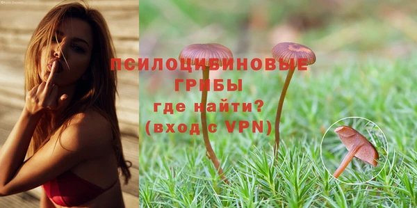 дурь Балахна