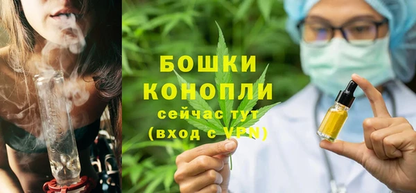 ПСИЛОЦИБИНОВЫЕ ГРИБЫ Баксан